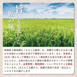 【えちご上越米】令和7年産 新潟県上越産 コシヒカリ 10kg 精米 こしひかり JAえちご上越