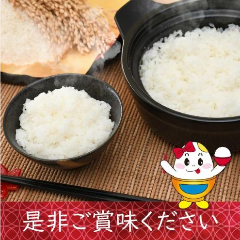 【えちご上越米】令和7年産 新潟県上越産 コシヒカリ 10kg×3回 30kg 定期便 精米 こしひかり JAえちご上越