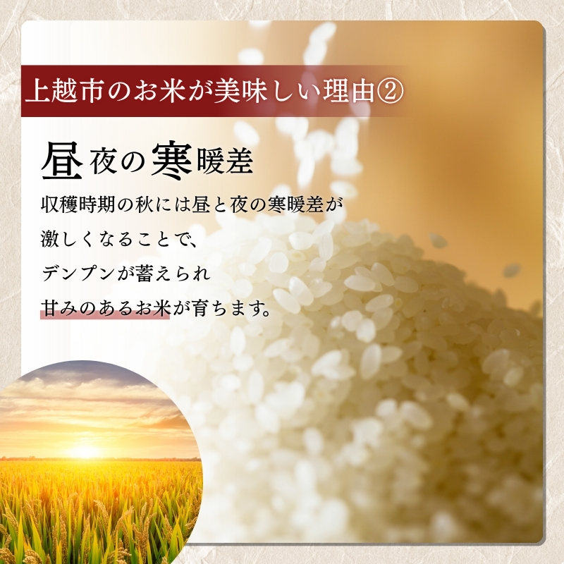 令和7年 新米 新潟県産コシヒカリ えちご上越米　定期便 【6ヶ月連続お届け】10kg×6回 60kg 新潟 米 新潟県 こしひかり 限定 おすすめ