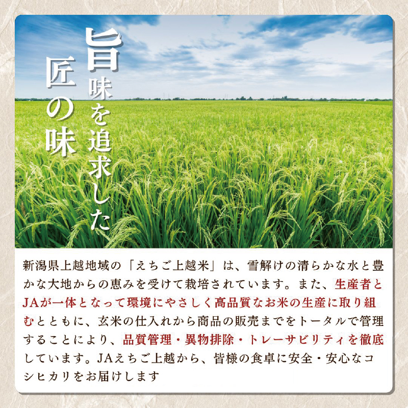 令和7年 新米 新潟県産コシヒカリ えちご上越米　定期便 【6ヶ月連続お届け】10kg×6回 60kg 新潟 米 新潟県 こしひかり 限定 おすすめ