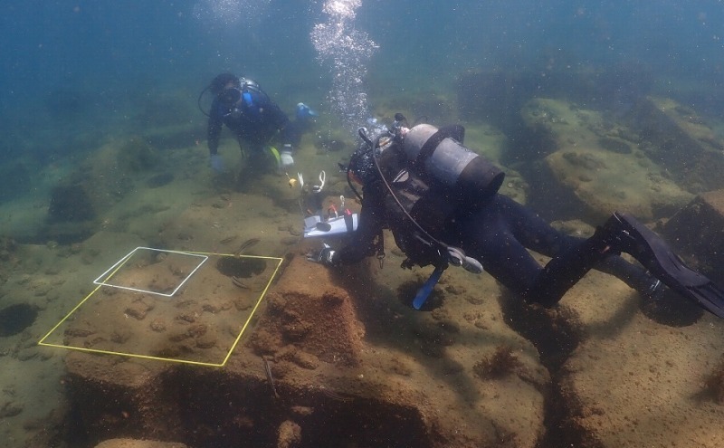 水揚げ当日発送 生食用 天然 岩牡蠣 約4.5kg(4～5人前/19～21個) 新潟 上越産 手採り プリプリ 濃厚 海鮮 BBQ 送料無料 岩ガキ 牡蠣