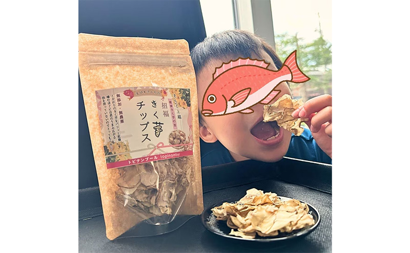 【定期便・全6回】きく芋チップス 3袋セット×6回　菊いも　きく芋　菊芋　新潟県上越産　芋　いも　イモ 