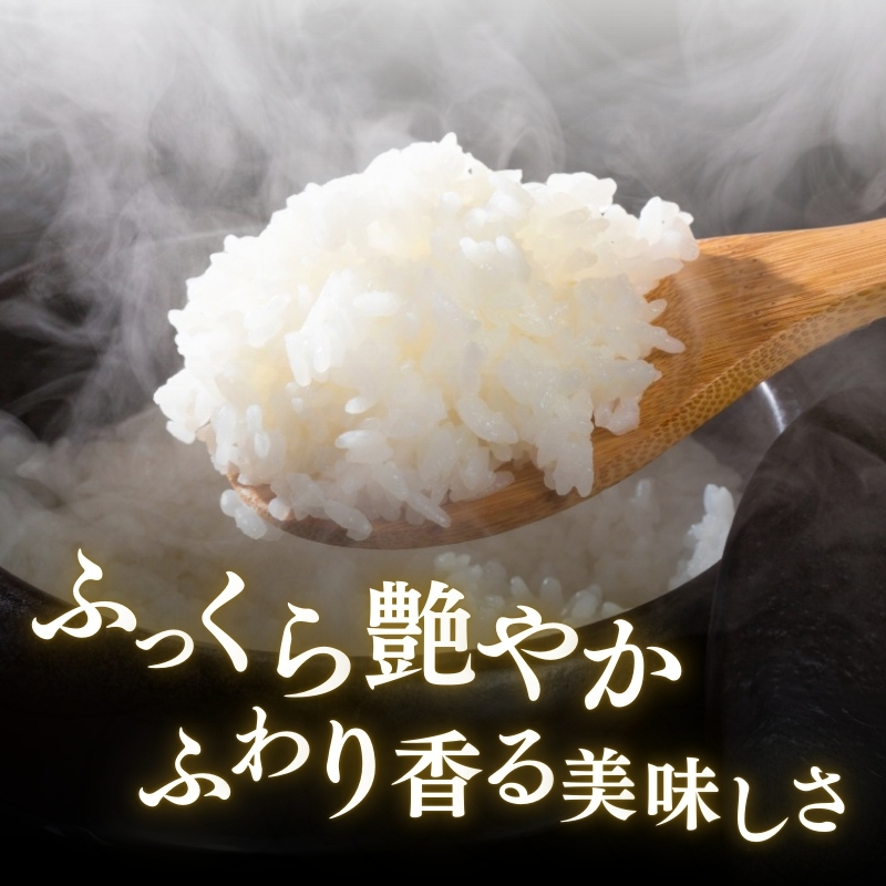 令和7年産 食味鑑定士厳選 新潟県産こしひかり 無洗米 5kg 上越市 米 コメ コシヒカリ