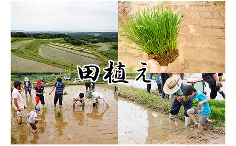 譌・譛ャ驟 荵豈泌イ仙柱蟶梧ーエ縲邏皮アウ縲荳蠎ヲ轣ォ蜈・繧後720ml 縺企 譁ー貎 荳願カ