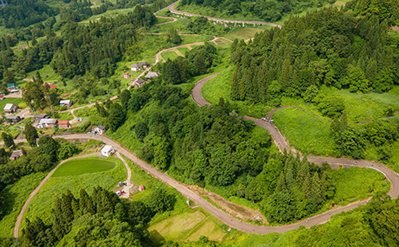 å
ã¶åé«åãã«ã¯ã©ã€ã ãšã³ããªãŒæš© 1åå ã€ãã³ã äœéš ãµã€ã¯ãªã³ã° å€§äŒ åå æš©