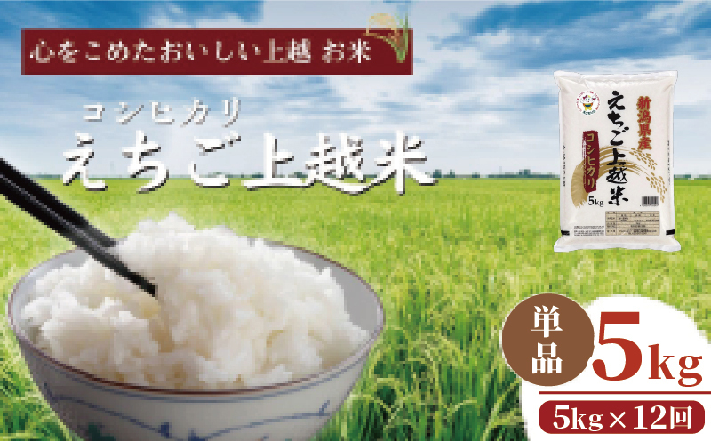 米 定期便 12ヶ月 コシヒカリ えちご上越米 5kg 令和7年産 お米 新米 白米 定期 12回