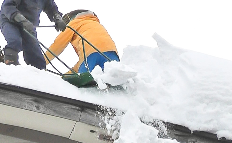 ã¹ããŒãã«S é€éªãéªãããéªäžãããã¹ããŒãã«ãã¹ããŒãã³ã