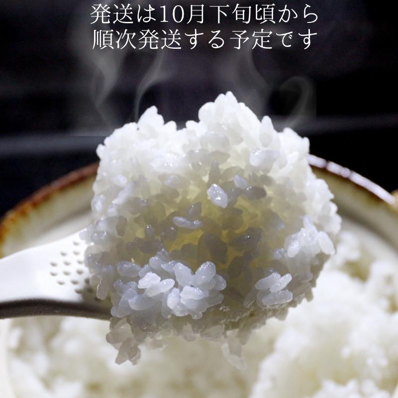 令和7年 新潟県産新之助 30kg （5kg×6回）30キロ 定期便 （毎月発送）上越市 米ヴィレッジさんわ 自社精米 米 白米 送料無料 限定 送料無料