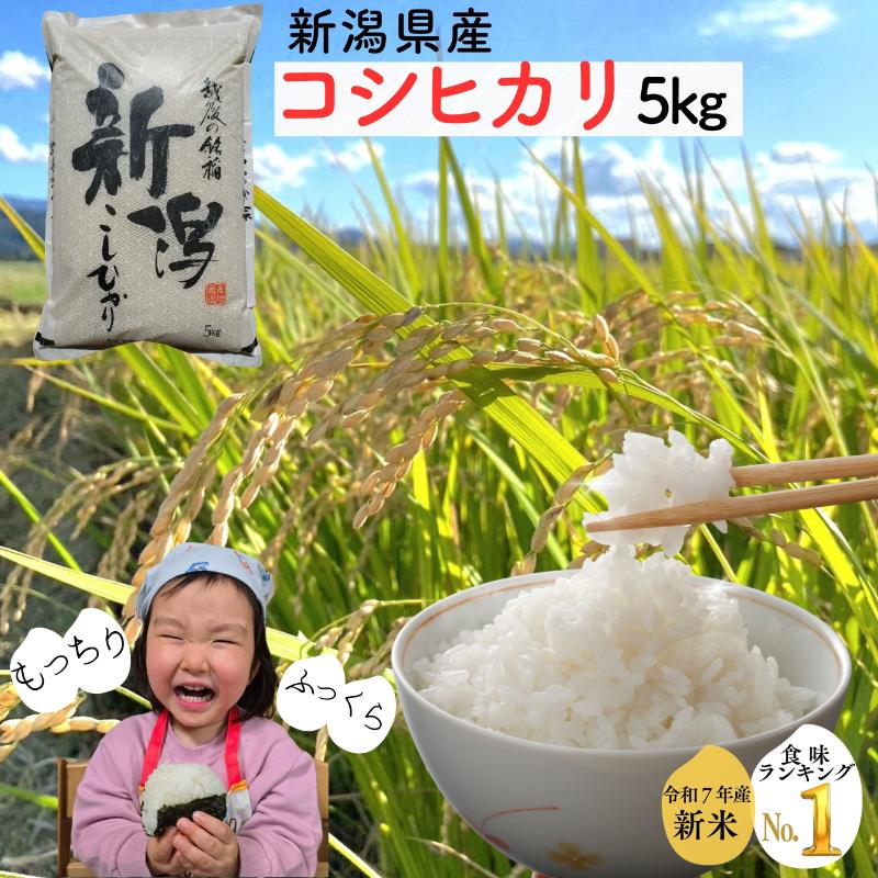令和7年 新潟県産コシヒカリ 5kg 5キロ 白米 精米 送料無料 上越市 米ヴィレッジさんわ 低温貯蔵 品質管理徹底