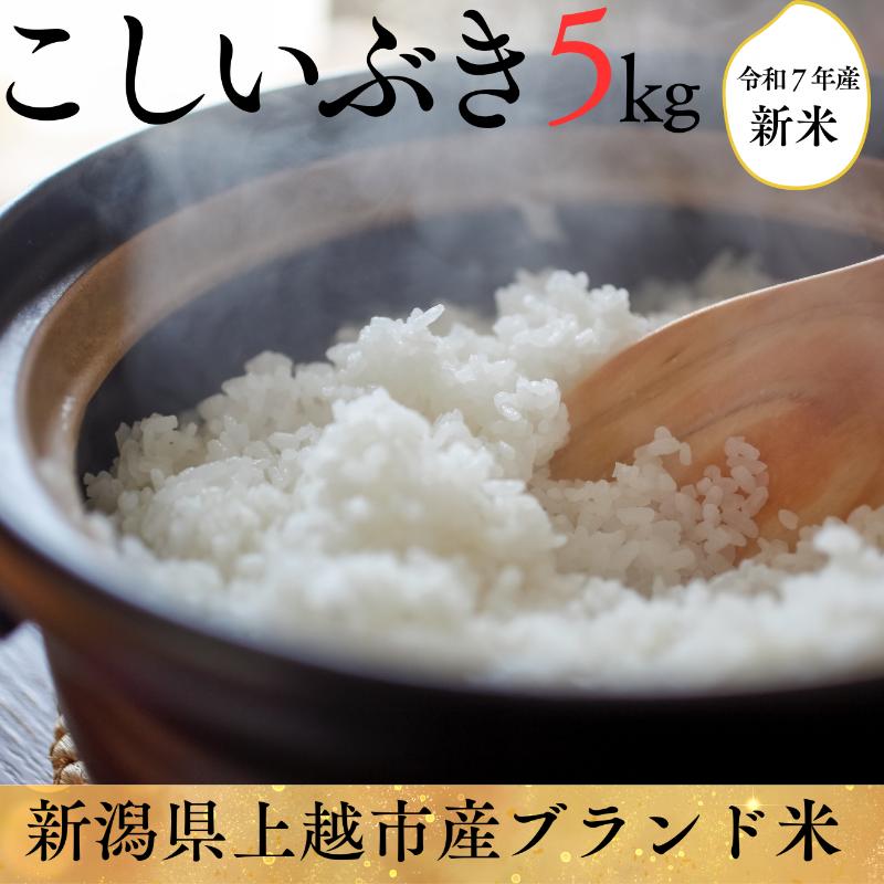 令和7年 新潟県産こしいぶき 5kg 5キロ 白米 精米 送料無料 上越市 米ヴィレッジさんわ 低温貯蔵 品質管理徹底