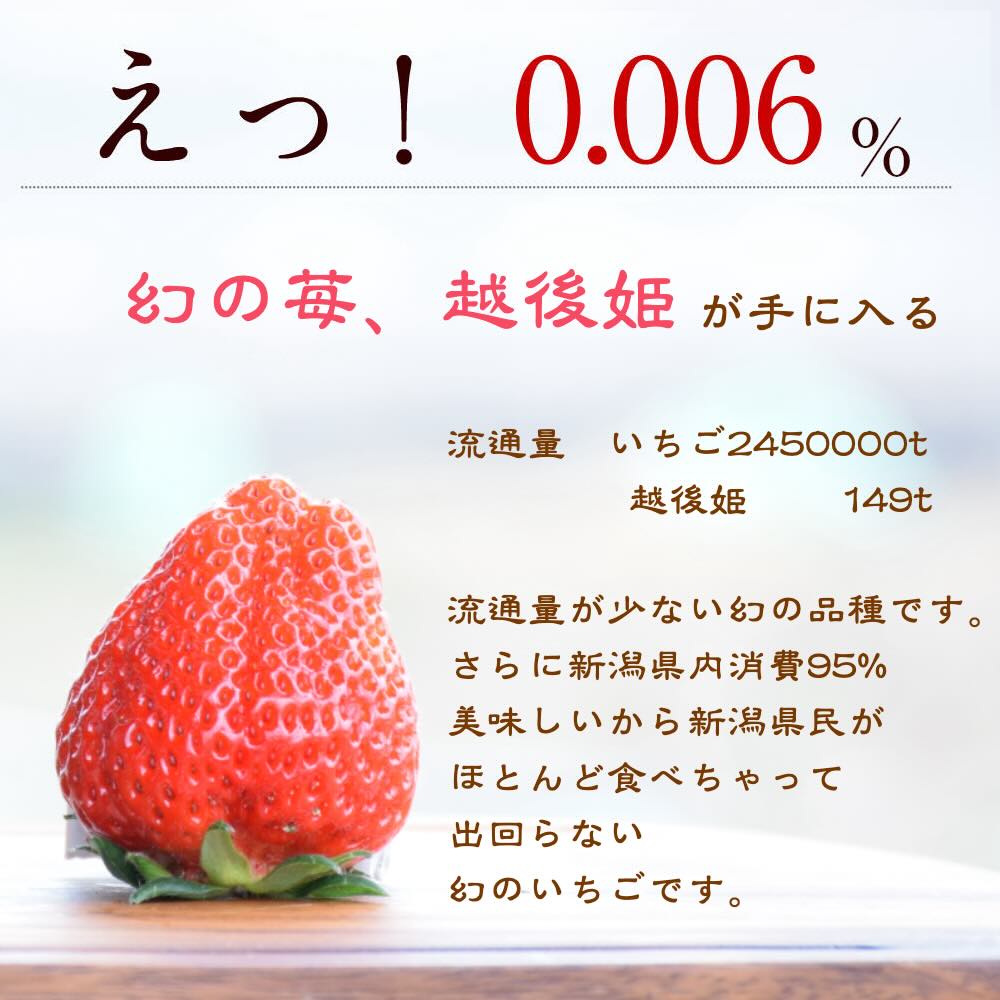 いちご 新潟 雪国完熟越後姫シングル（約380g）ギフト箱入り イチゴ 苺 フルーツ お取り寄せ 贈り物 上越