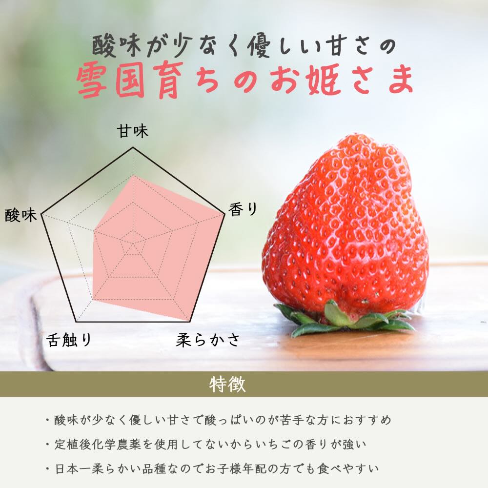 いちご 新潟 雪国完熟越後姫シングル（約380g）ギフト箱入り イチゴ 苺 フルーツ お取り寄せ 贈り物 上越