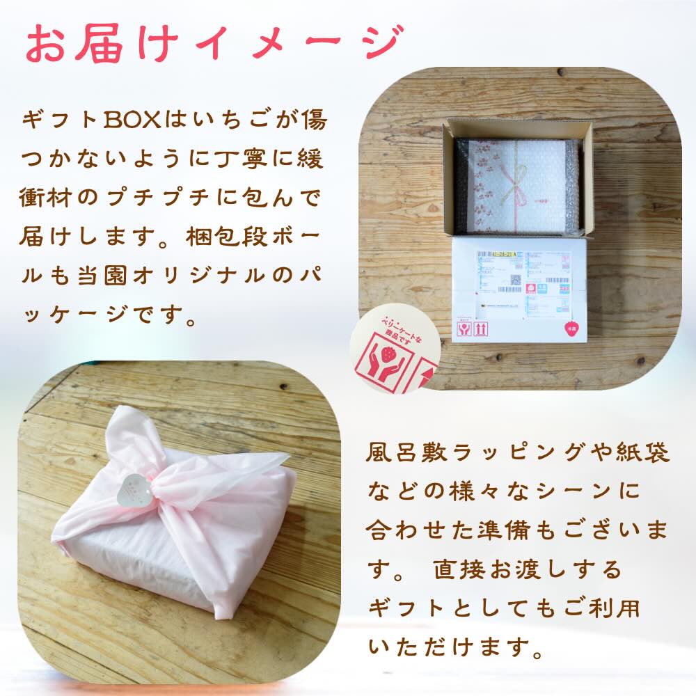 いちご 新潟 雪国完熟越後姫シングル（約380g）ギフト箱入り イチゴ 苺 フルーツ お取り寄せ 贈り物 上越