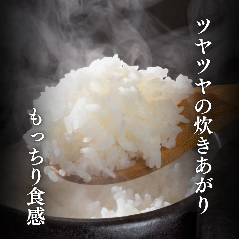 令和7年産 新潟県上越柿崎区厳選 こしひかり 精米 5kg 上越市 精米 米 コメ コシヒカリ ブランド米