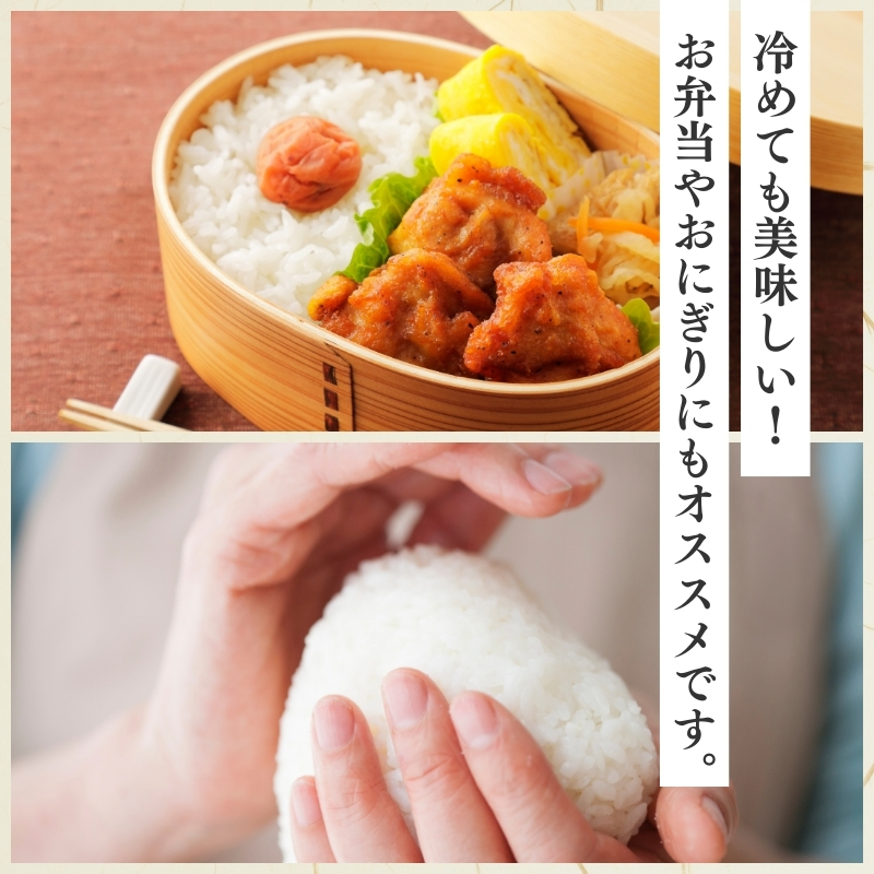 令和7年産 食味鑑定士厳選 新潟県上越柿崎区厳選 こしひかり 無洗米 5kg 上越市 精米 米 コメ コシヒカリ ブランド米