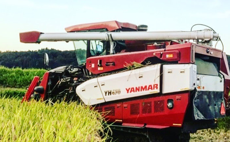 令和7年 新潟県産コシヒカリ 特別栽培米 5kg 5キロ 上越市 三和区神田 富永農産 有機肥料、自家製たい肥を使用し米つくり 送料無料