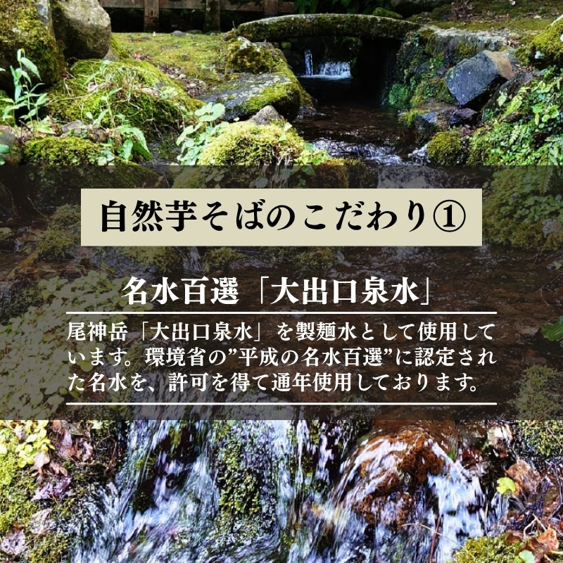 自然芋そば (乾麺) 10袋 蕎麦 そば ソバ 自然芋 じねんじょ 乾麺 新潟県 上越市