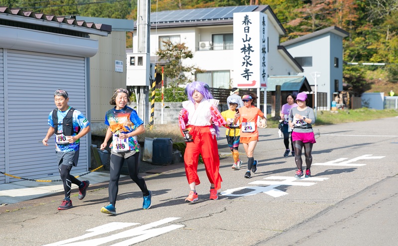 【スタークラス | 走行距離：約22km】知る人ぞ知る「越後謙信きき酒マラソン」が満を持してふるさと納税に! イベント 祭り マラソン チケット 酒 日本酒 新潟 上越