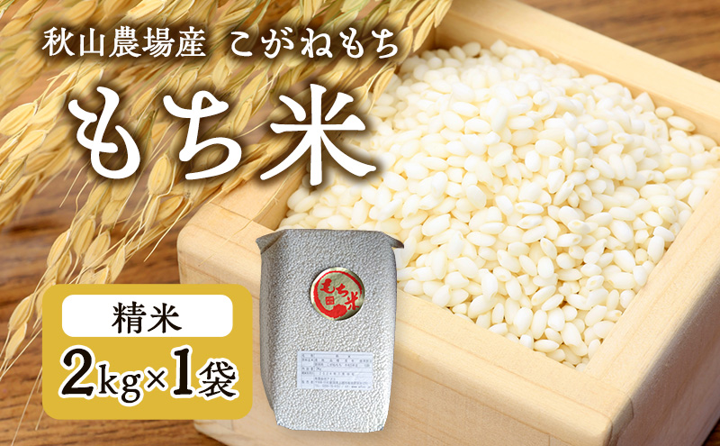 【もち米】【真空チャックパック】新潟産こがねもち（もち米）2Kg×1袋 新潟 上越