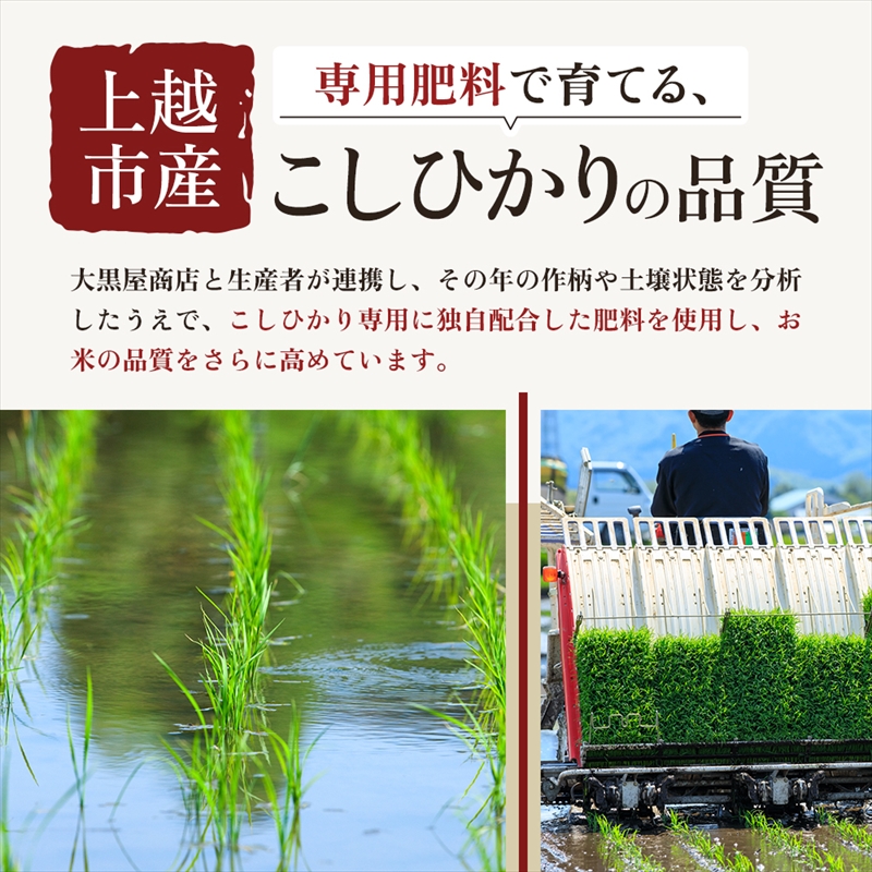 上越市産 新潟 コシヒカリ 5kg こしひかり お米 精米 米 ご飯