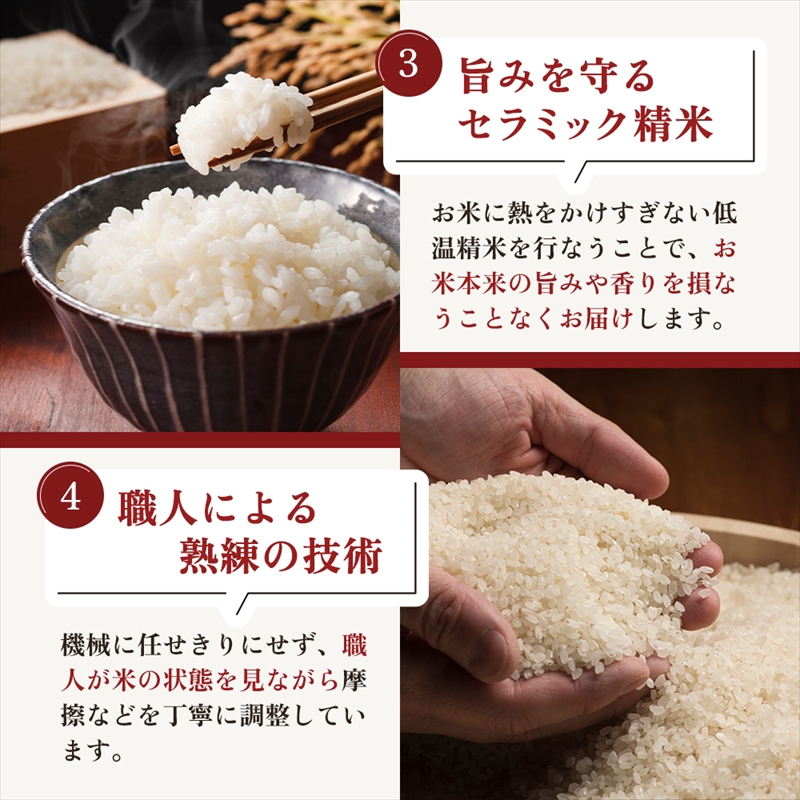 【最短3日発送】令和7年産 新潟県上越市産 新之助 2kg 精米 無洗米 五つ星お米マイスター