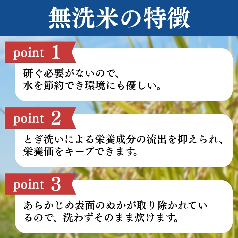 令和7年産 食味鑑定士厳選 新潟県産こしひかり 無洗米 5kg 上越市 米 コメ コシヒカリ