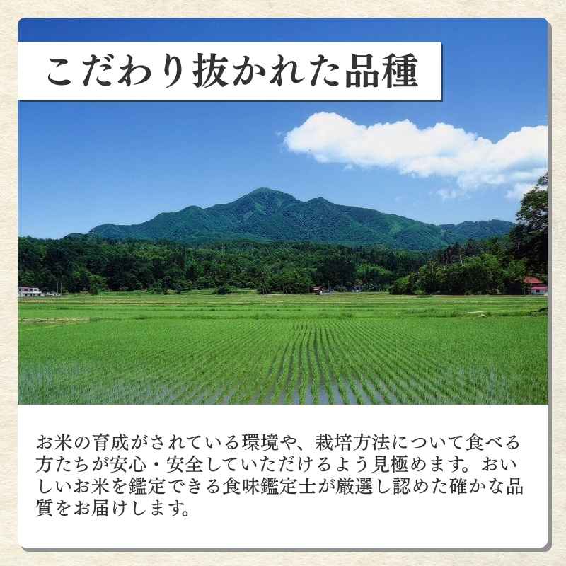 令和7年産 食味鑑定士厳選 新潟県産こしひかり 無洗米 5kg 上越市 米 コメ コシヒカリ