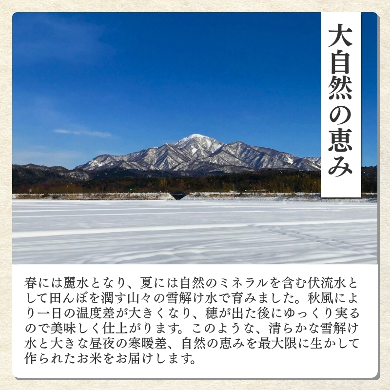 令和7年産 食味鑑定士厳選 新潟県産こしひかり 無洗米 5kg 上越市 米 コメ コシヒカリ