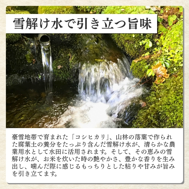 令和7年産 食味鑑定士厳選 新潟県産こしひかり 無洗米 15kg 上越市 米 コメ コシヒカリ