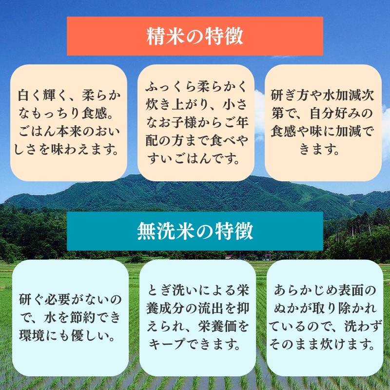 令和7年産 食味鑑定士厳選 新潟県上越柿崎区厳選 こしひかり 無洗米 5kg 上越市 精米 米 コメ コシヒカリ ブランド米