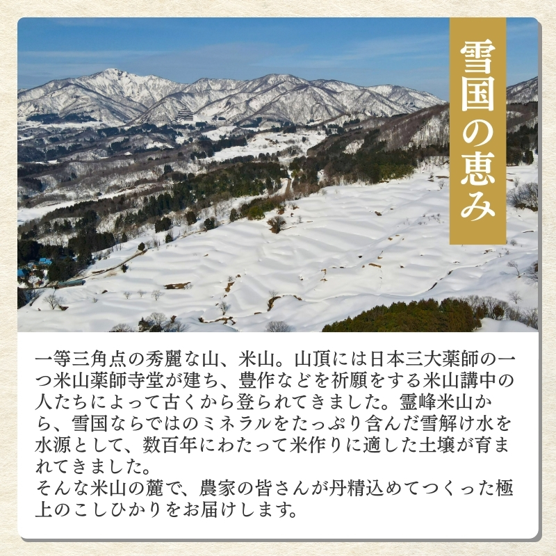 令和7年産 食味鑑定士厳選 新潟県上越柿崎区厳選 こしひかり 無洗米 5kg 上越市 精米 米 コメ コシヒカリ ブランド米