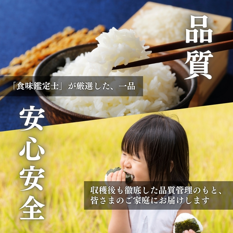 令和7年産 新潟県上越柿崎区厳選 こしひかり 精米 5kg 上越市 精米 米 コメ コシヒカリ ブランド米