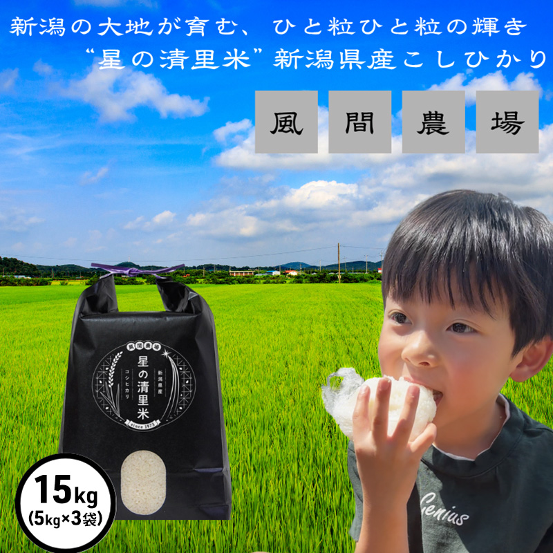 新米 令和7年 新潟県上越市産 従来 コシヒカリ 精米済15kg（5kg×3袋） 15キロ こしひかり お米 米 精米 送料無料