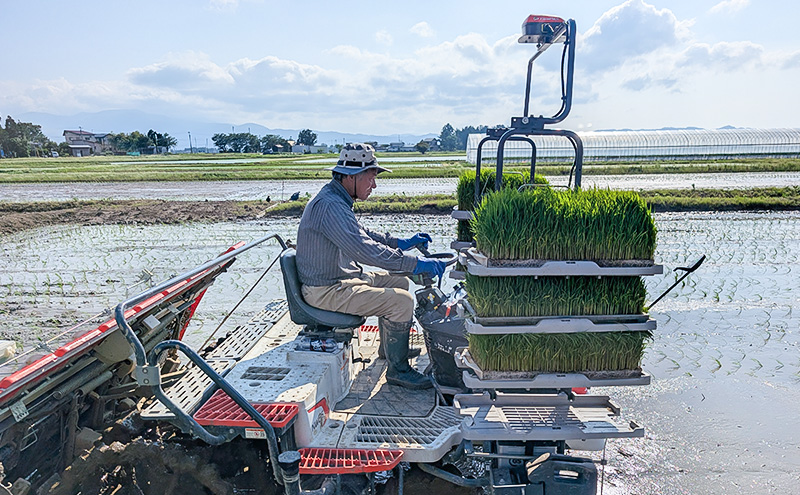 【（定期便|毎月配送｜計3回））10月下旬より順次出荷】令和7年産 新潟県 上越市産 にじのきらめき10kg 白米×3回 定期便