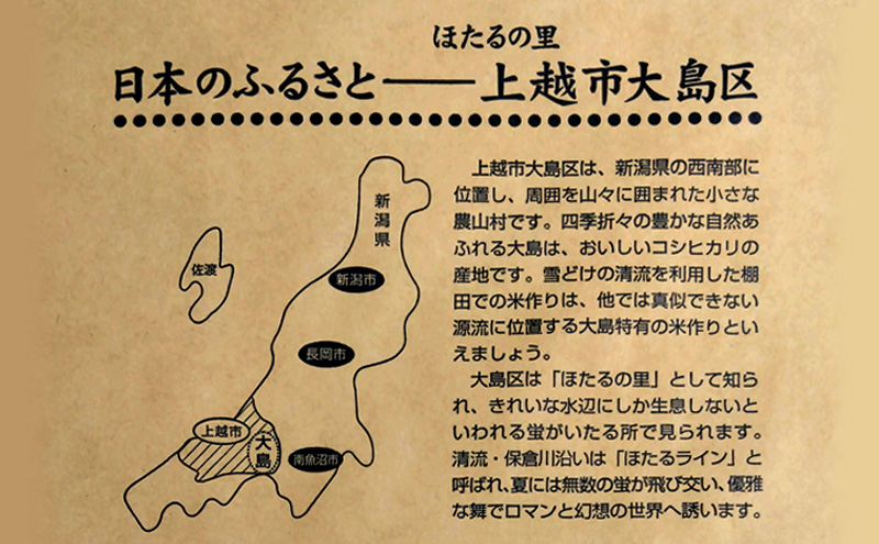 令和7年産 10kg 10キロ 新潟県 上越市産 コシヒカリ おおしま育ち 精米 お米 お取り寄せ
