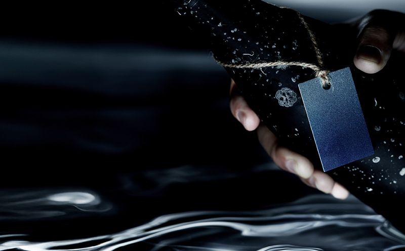 【ふるさと納税】【限定醸造】日本海の荒波が育んだ 海底熟成日本酒「濤〈TOU〉 01」（720ml）お酒 16度 希少品 限定 新潟 上越 ギフト 贈答 化粧箱入り 送料無料 シリアルあり 【チタン製おちょこ付】