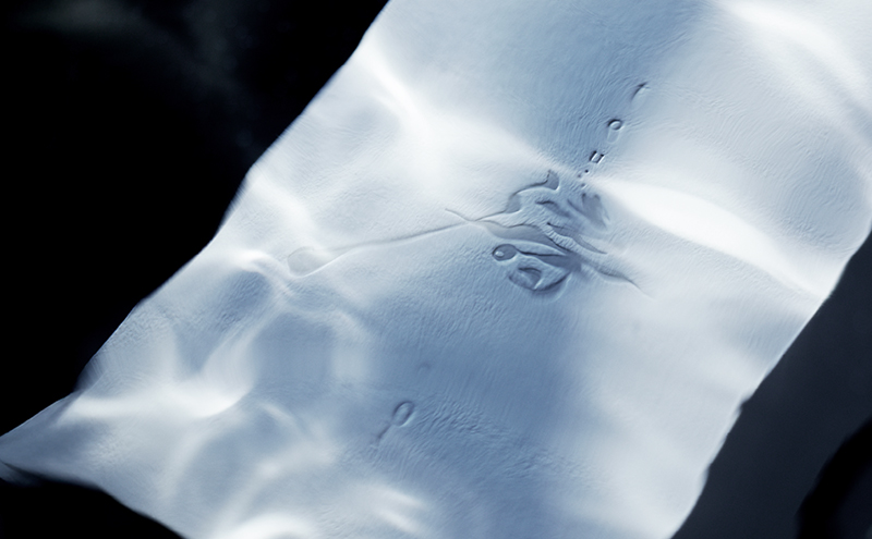 【ふるさと納税】【限定醸造】日本海の荒波が育んだ 海底熟成日本酒「濤〈TOU〉 01」（720ml）お酒 16度 希少品 限定 新潟 上越 ギフト 贈答 化粧箱入り 送料無料 シリアルあり 【チタン製おちょこ付】