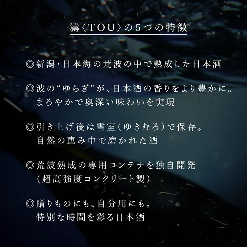【ふるさと納税】【限定醸造】日本海の荒波が育んだ 海底熟成日本酒「濤〈TOU〉 01」（720ml）お酒 16度 希少品 限定 新潟 上越 ギフト 贈答 化粧箱入り 送料無料 シリアルあり 【チタン製おちょこ付】