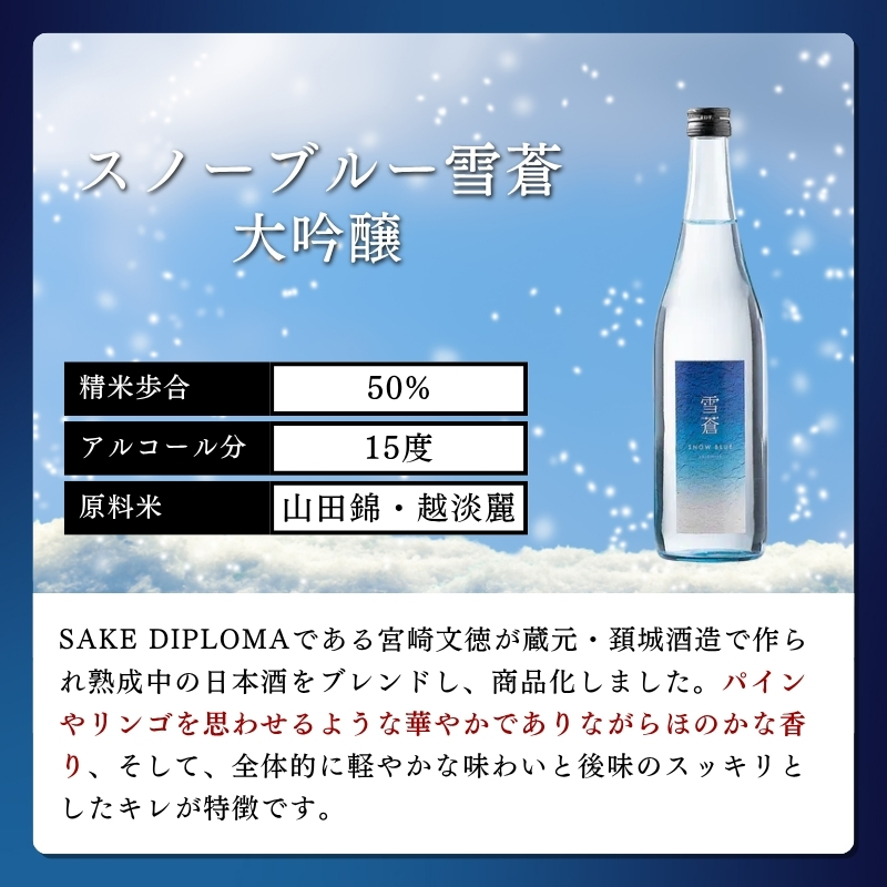 日本酒 スノーブルー雪蒼 八恵久比岐 雪中梅 かたふね 720ml 6本 セット お酒 おすすめ 酒 ふるさと納税 新潟 新潟県産 にいがた 上越 上越産