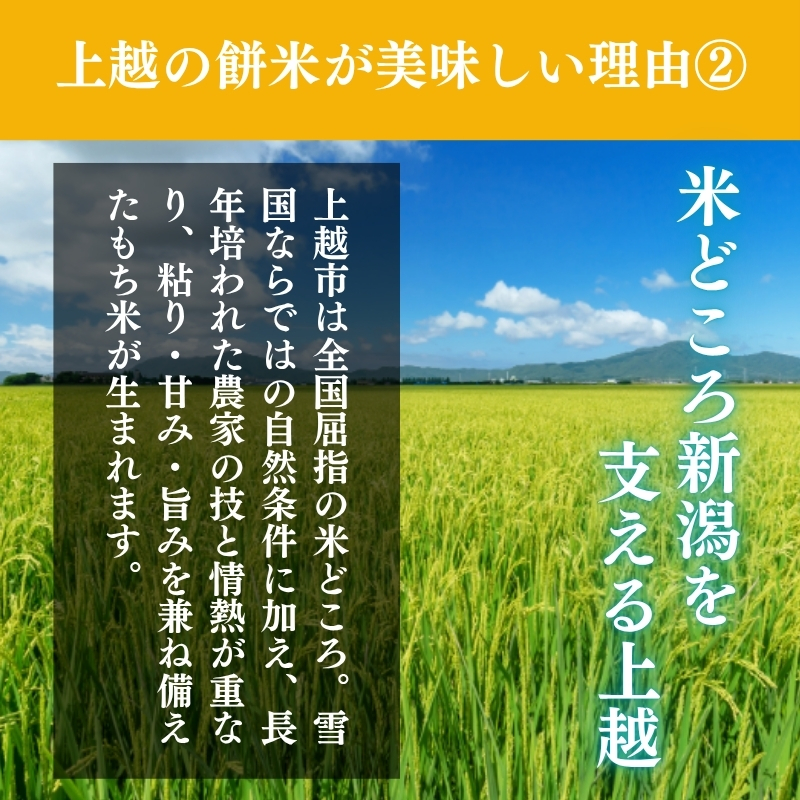 切り餅 こがね姫 シングルパック 10枚入 475g×2 (新潟県上越市産コガネモチ使用) 餅 もち