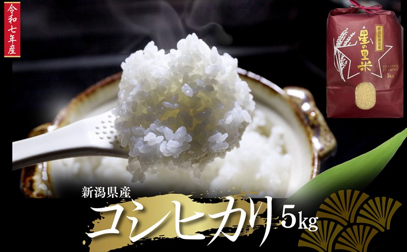 令和7年 新潟県産 コシヒカリ 5kg 5キロ 上越市 清里産 星の里米 TY GREEN 白米 精米 送料無料