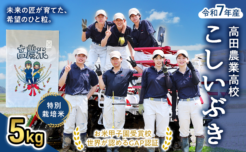 【未来の農業者を応援】高田農業高校の生徒が育てた「高農米」 令和7年産 特別栽培米 こしいぶき 5kg 5キロ 新潟県産 上越市