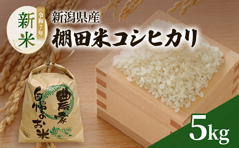 新米 令和7年 新潟県産 棚田米 コシヒカリ 5kg 5キロ 米 上越市 清里区 厳選 こしひかり 白米 精米