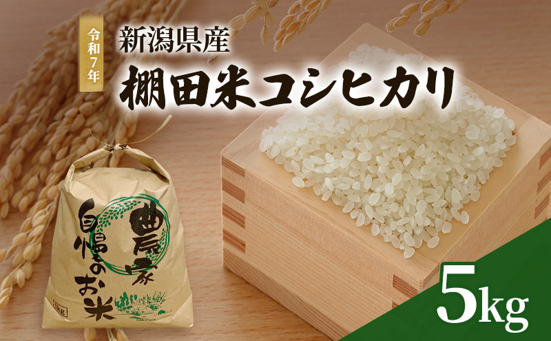 令和7年 新潟県産 棚田米 コシヒカリ 5kg 5キロ 米 上越市 清里区 厳選 こしひかり 白米 精米