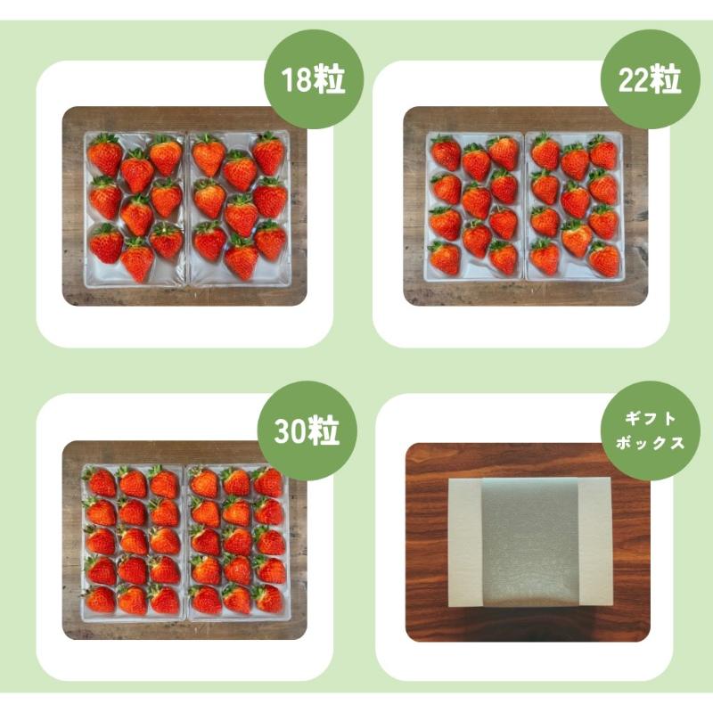 【先行予約 | 2026年4月中旬より出荷開始】いちご 中粒 カラダよろこぶ やみつき 越後姫 約200g×2パック (18～30粒入り) イチゴ 苺 上越市 新潟