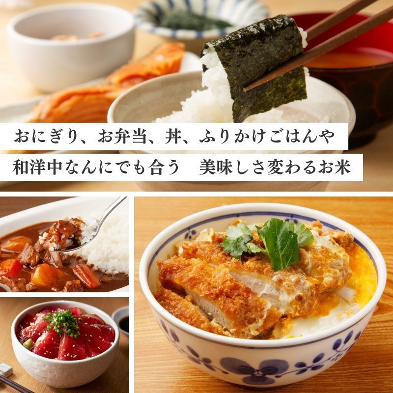 【1月中旬より配送】上越市産 新潟 新之助 5kg 6か月定期便 しんのすけ お米 精米 米 ご飯 定期