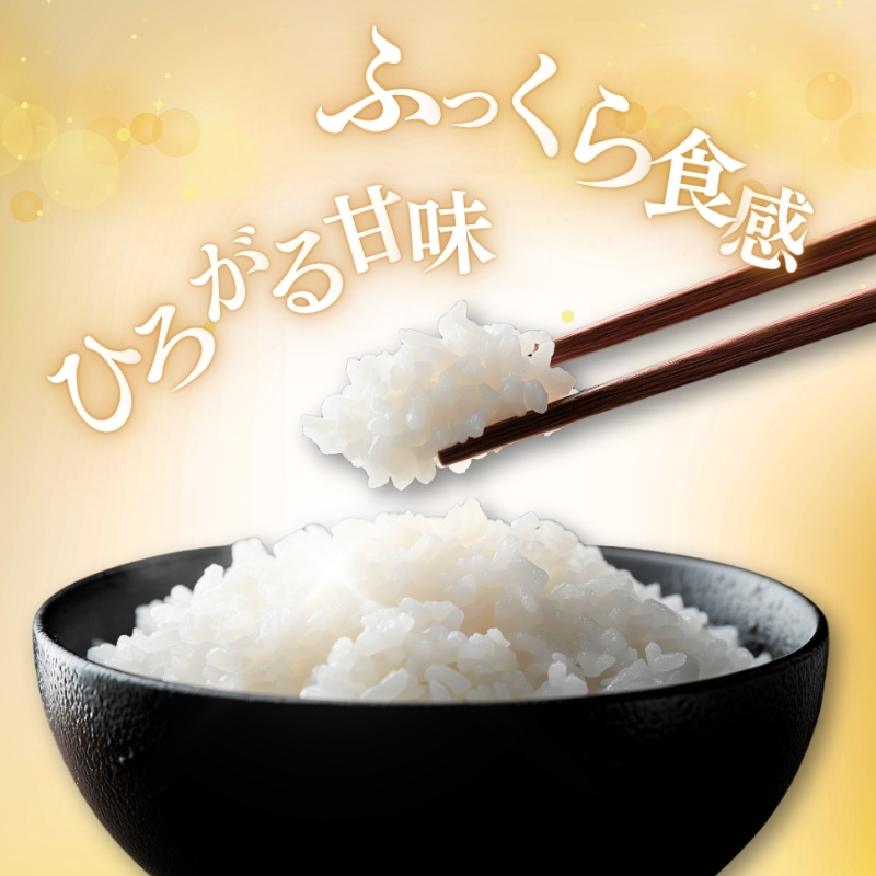 【1月下旬より配送】上越市産 新潟 コシヒカリ 5kg 6か月定期便 こしひかりお米 精米 米 ご飯 定期