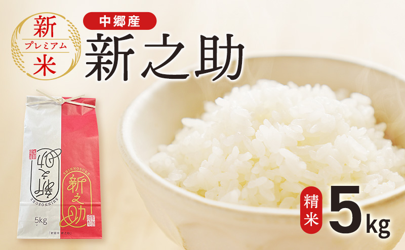 令和7年 新潟県 上越市産 新之助 5kg やまざきふぁーむ 送料無料　精米 5キロ お米 コメ 白米 上越市 中郷区 中郷産