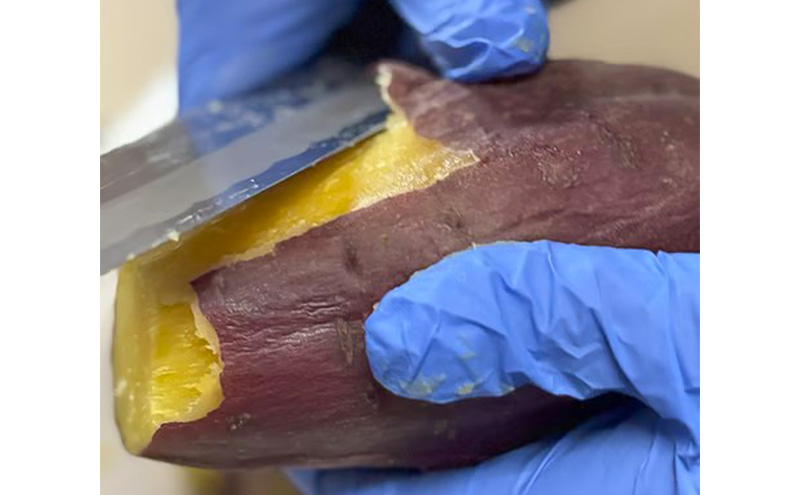 まるたき工房の干し芋【シルクスイート】900g　おいも スイーツ ほしいも さつまいも おやつ お菓子 和菓子 和スイーツ 新潟県産 国産