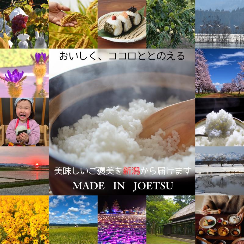 令和7年 新潟県産つきあかり 30kg 30キロ 5kg×6回 定期便 毎月発送 米ヴィレッジさんわ 自社精米 白米 米 冷めても美味しい お弁当やおにぎり向き